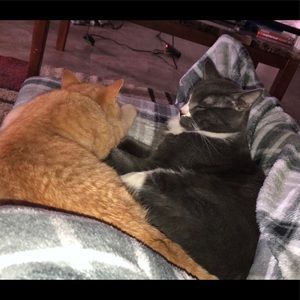 Meet your Posher, Brittany